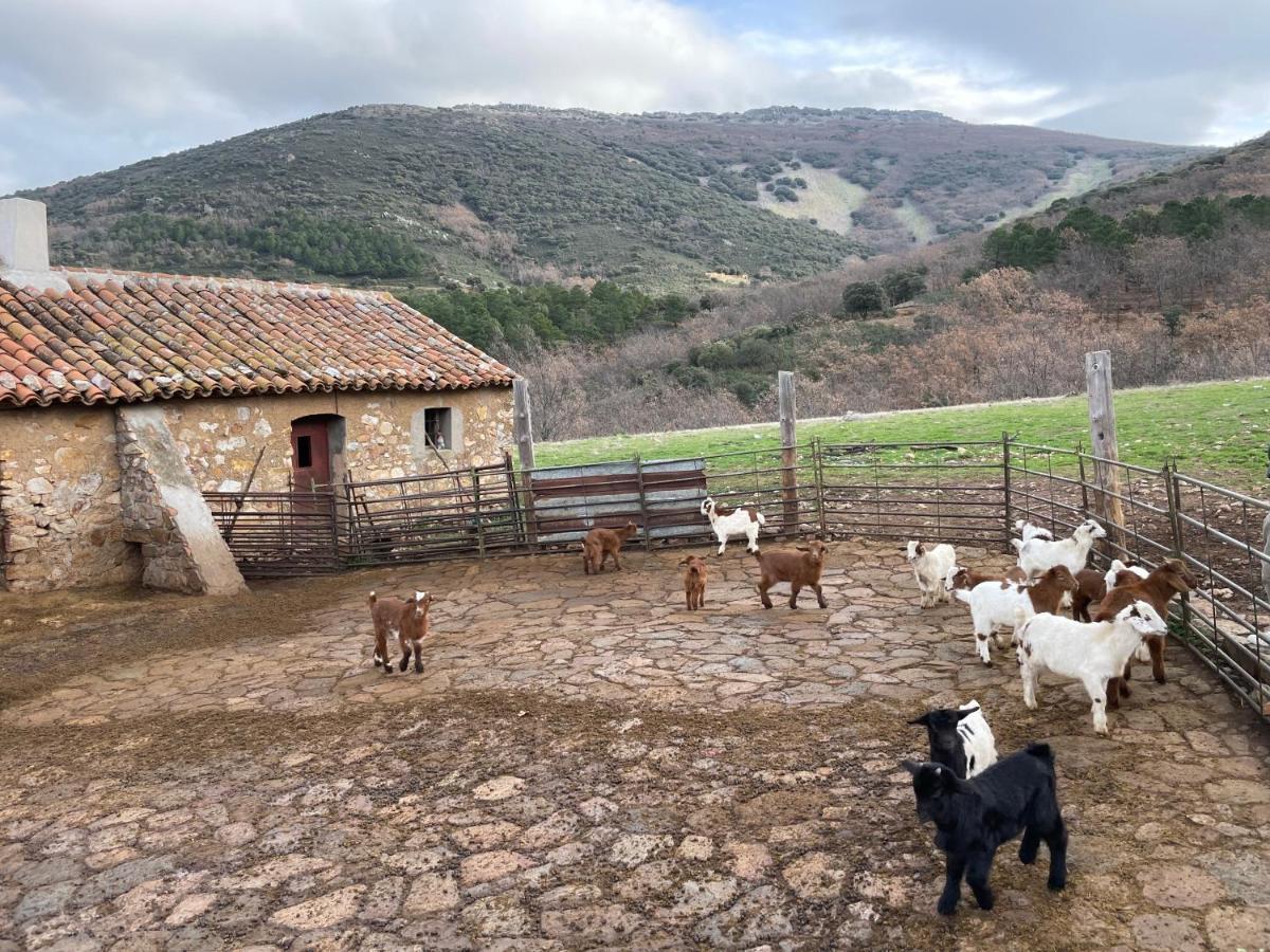Casa Rural Las Lanchas Hontanar Eksteriør billede